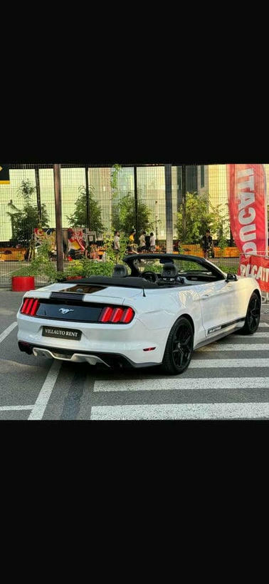 MUSTANG